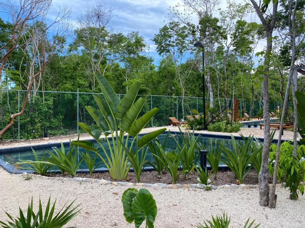 Apartament Aldea Savia By Andiani Travel Tulum Zewnętrze zdjęcie